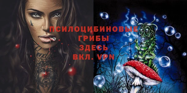мяу мяу мука Алексеевка